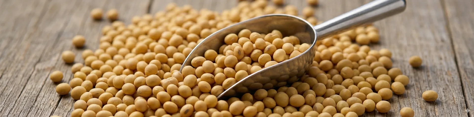 Soya Funcional
